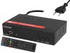 mini: MA LION NS (1)