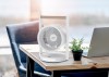 mini: MA WB17 (2)