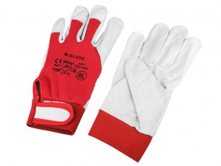 Obrazek dla: MA OR056